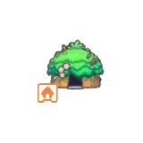 葉子小屋套組