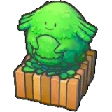 吉利蛋植栽