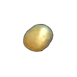 金子