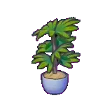 瘦高植栽