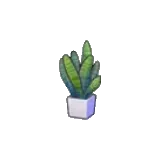 扁平植栽